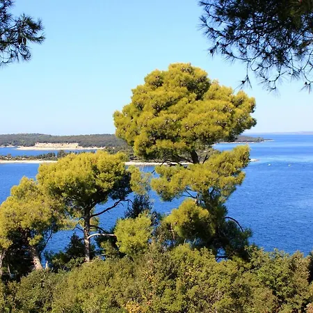 With Parking Space Stinjan, - 20816 Apartman Pula